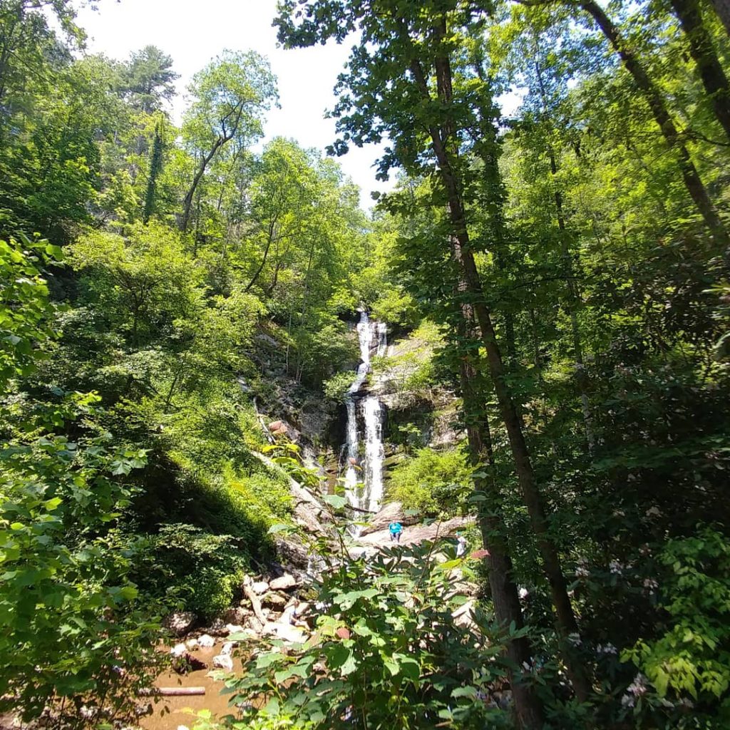 toms creek falls through the trees in pisgah national forest