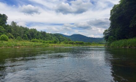 Two Days of Kayaking the New River