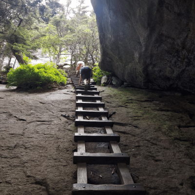 ladders on grandfather trail grandfather mountain