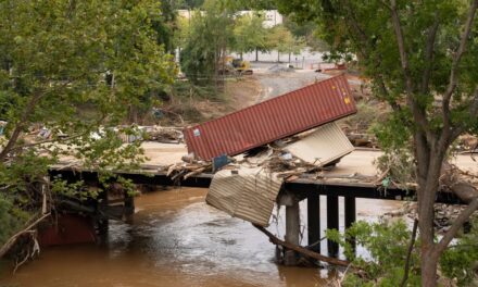 Hurricane Helene Devastated North Carolina Here’s How You Can Help